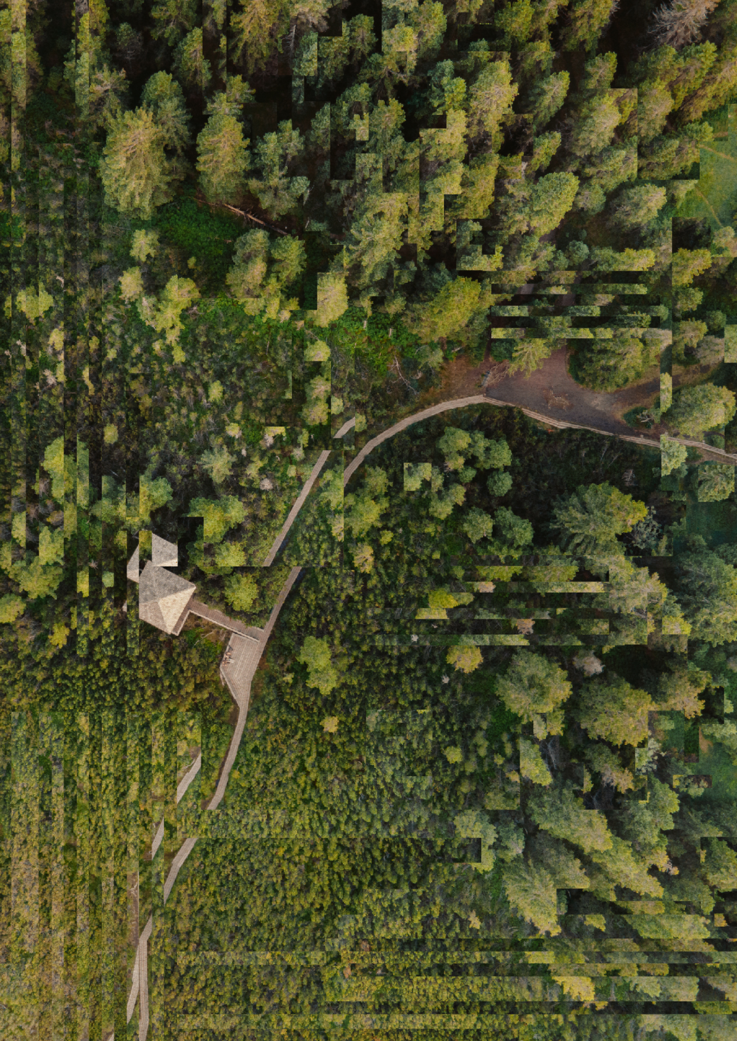Bird's eye view photo of a small hut and a concrete path through a lush green forest. However, the image is slightly distorted by digital artefacts.